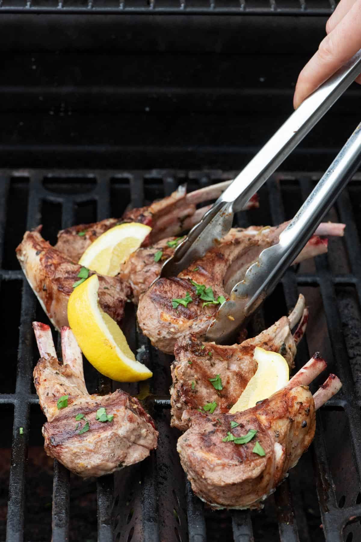 Grilled Lamb Chops